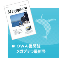 OWA広報誌 メガプテラ最新号