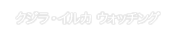 クジラ・イルカ ウォッチング