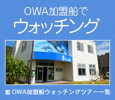 OWA加盟船でウォッチング