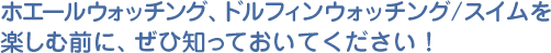 ホエールウォッチング、ドルフィンウォッチング／スイムを楽しむ前に、ぜひ知っておいてください！