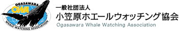 一般社団法人 小笠原ホエールウォッチング協会