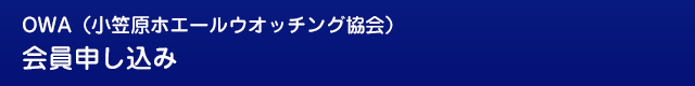 OWA会員申し込み