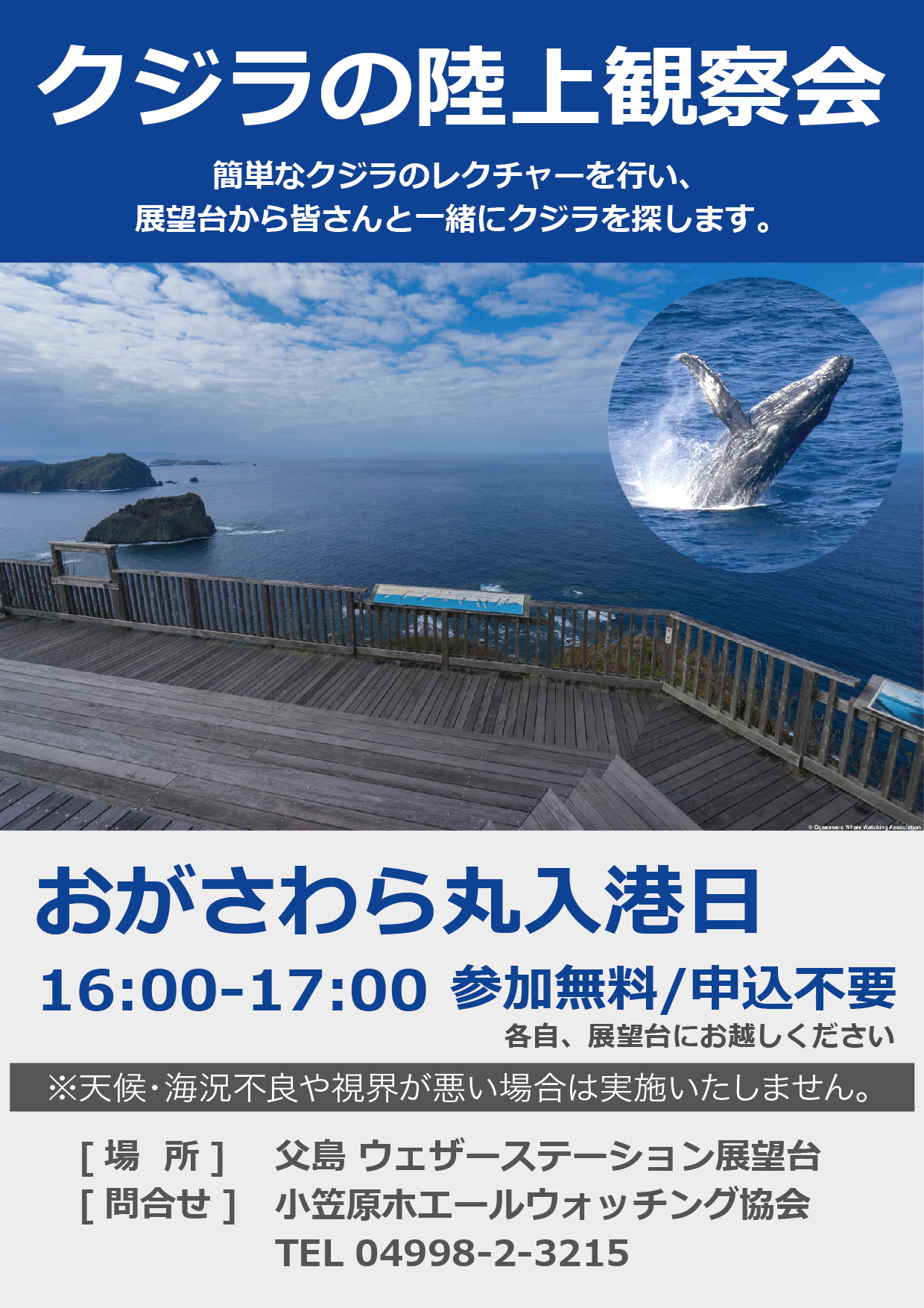 1/21~4/1】「クジラの陸上観察会」開催のお知らせ - 小笠原ホエール